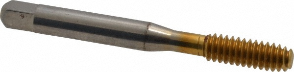 Main Thumb