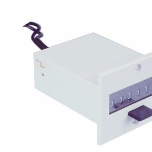 TRUMETER 6 Digit Wheel Display Totalizer P2-4906