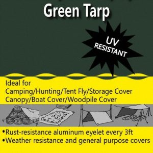 VALUE COLLECTION Tarp/Dust Cover: Green, Polyethylene, 20' Long x 16' Wide, 9 to 10 mil KSMSCHD1620