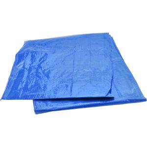 VALUE COLLECTION Tarp/Dust Cover: Blue, Rectangle, Polyethylene, 20' Long x 12' Wide KSMSCBB1220