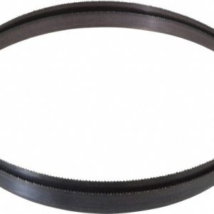DISSTON Welded Bandsaw Blade: 10' Long, 0.032" Thick, 10 TPI E1768