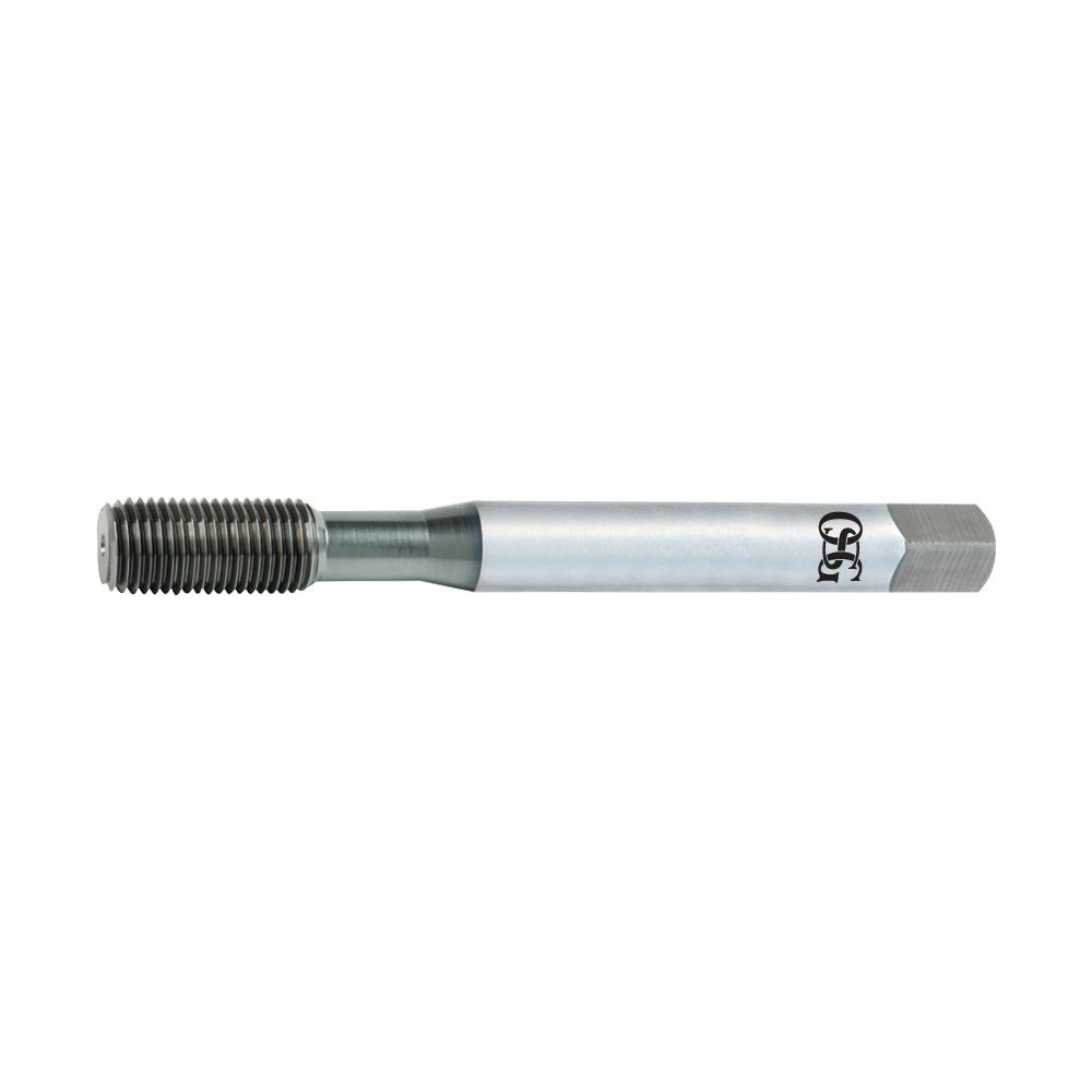 Main Thumb