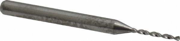 Main Thumb