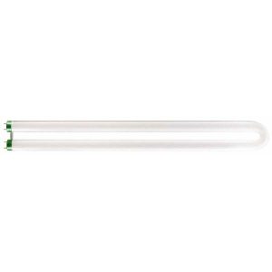 PHILIPS Fluorescent Tubular Lamp: 31 Watts, T8-1 5/BU, Medium Bi-Pin Base 226712