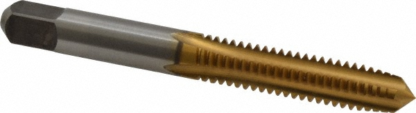 Main Thumb