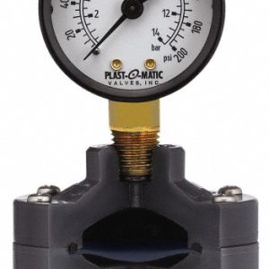 PLAST-O-MATIC 160 Max psi, 2 Inch Dial Diameter, PVC Pressure Gauge Guard and Isolator GGTS160-PV