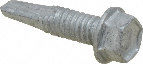 Main Thumb