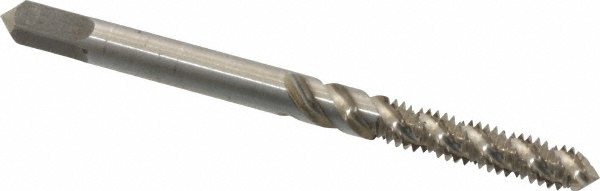 Main Thumb