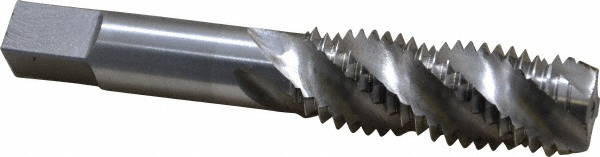 Main Thumb