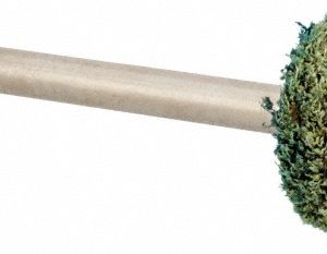 GRIER ABRASIVES Mounted Point: 1/4" Thick, 1/8" Shank Dia, W183, Medium W183-N3-17289