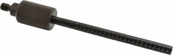 Main Thumb