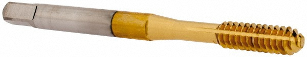 Main Thumb