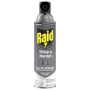 RAID Raid Wasp & Hornet Killer Insecticide Aerosol Spray, 14 oz 377651