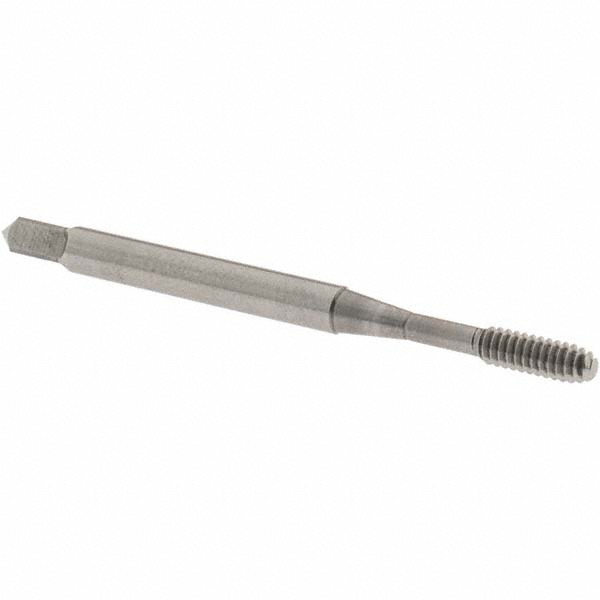 Main Thumb