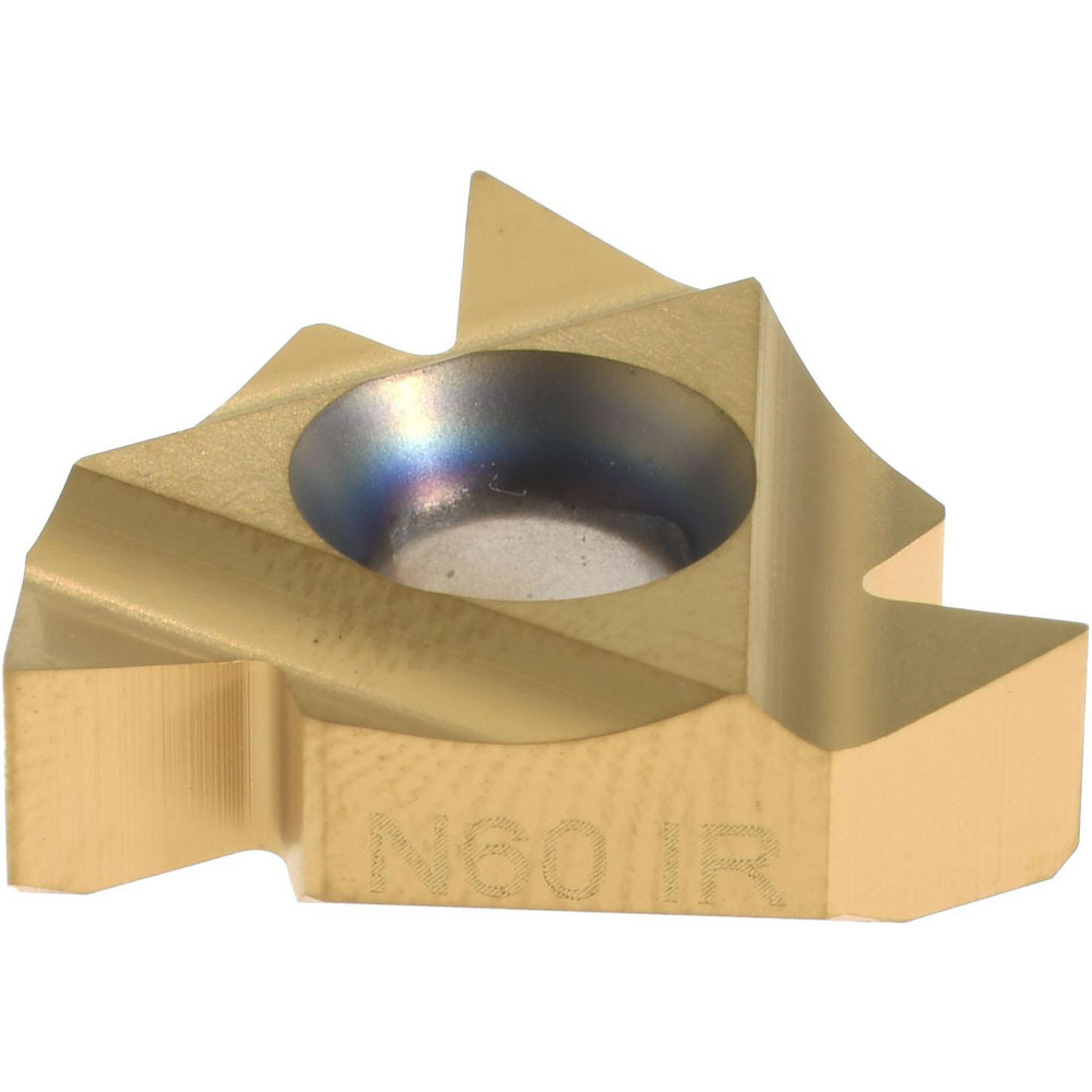 Main Thumb