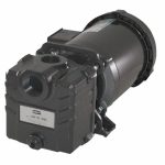 AMERICAN MACHINE & TOOL 115/230 Volt, 1 Phase, 1 HP, Self Priming Centrifugal Pump 2855-999-95