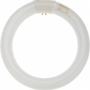 PHILIPS Fluorescent Tubular Lamp: 22 Watts, T9, 4-Pin Base 391169