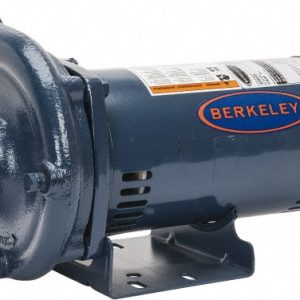 BERKELEY AC Straight Pump: 208 to 230/460V, 2-1/2 hp, 3 Phase, Cast Iron Housing, Brass Impeller S39540