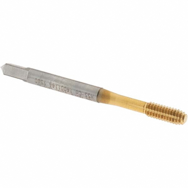 Main Thumb