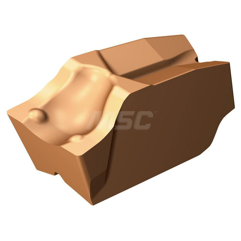 Main Thumb