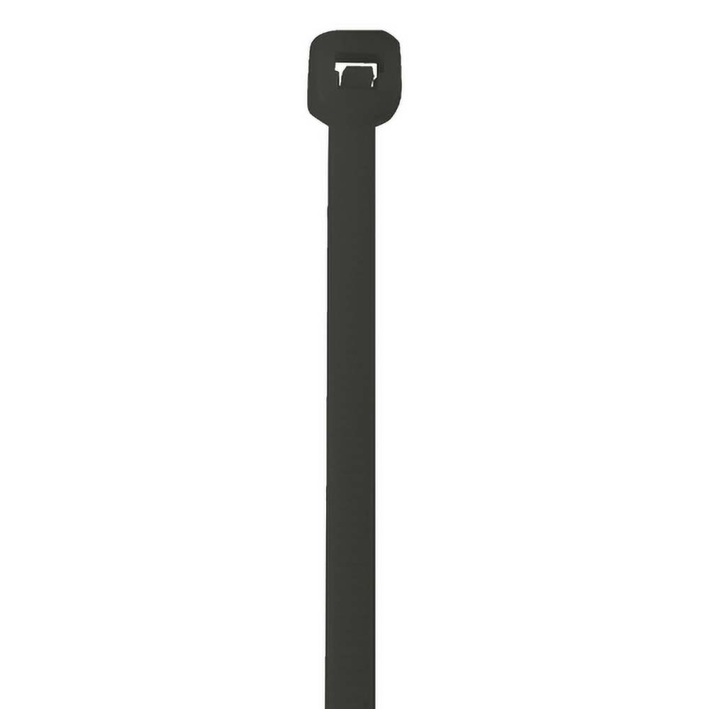 Main Thumb