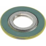 VALUE COLLECTION Flange Gasket: For 1/2" Pipe, Carbon Steel & Stainless Steel 3194792