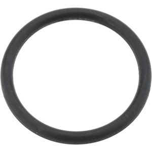 VALUE COLLECTION O-Ring: 19" ID x 23" OD, 2" Thick, Viton ZMSCV2X19