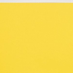 MAUDLIN PRODUCTS 1 Piece, 10" Wide x 20" Long Plastic Shim Stock Sheet PL10-020