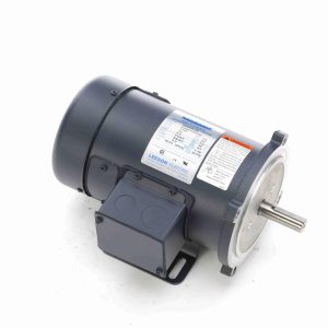 LEESON DC Motor: TEFC Enclosure, 1/4 hp, 1,750 Nameplate RPM 098002.00