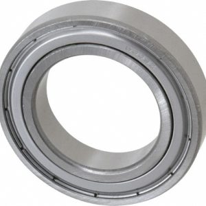 TRITAN Deep Groove Ball Bearing: 75 mm OD, Double Shield 6009 ZZC3 PRX