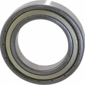 TRITAN Deep Groove Ball Bearing: 80 mm OD, Double Shield 6010 ZZC3 PRX
