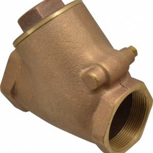 LEGEND VALVE Check Valve: 2" Pipe 105-308