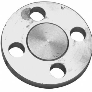 MERIT BRASS 1-1/2" Pipe, 5" OD, Stainless Steel, Blind Pipe Flange A635BL-24