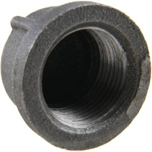 VALUE COLLECTION Black End Cap: 1", Threaded B300 25