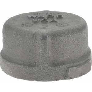 VALUE COLLECTION Black End Cap: 2", Threaded B300 50