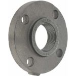 ANVIL 2" Pipe, 6" OD, 1" Hub Length, Iron Threaded Pipe Flange 0308002807