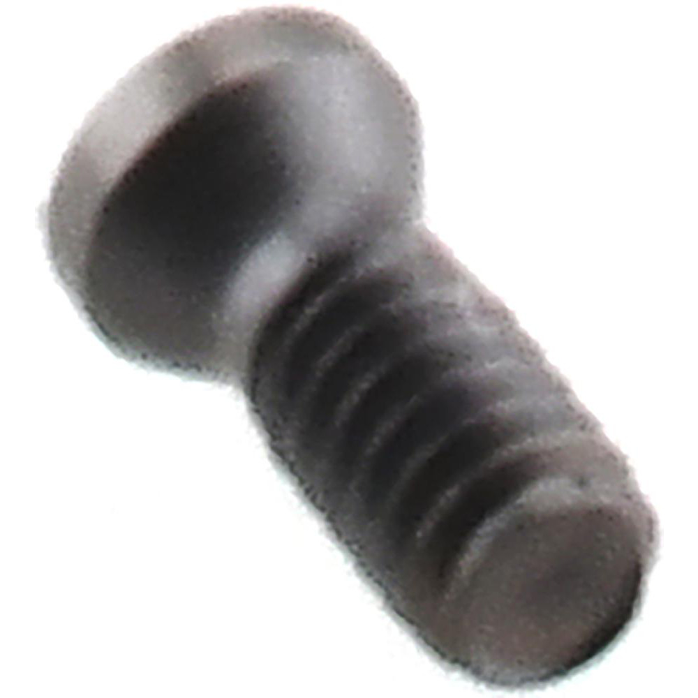 Main Thumb