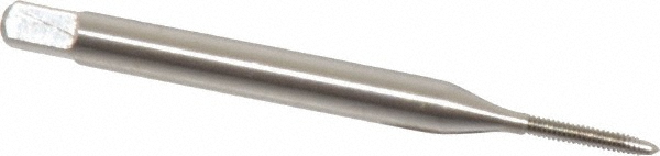Main Thumb
