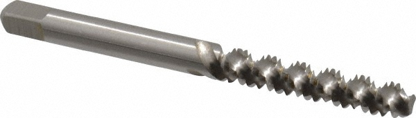 Main Thumb
