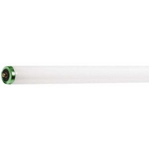 PHILIPS Fluorescent Tubular Lamp: 56 Watts, T12, Single Pin Base 369892