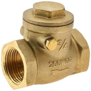 VALUE COLLECTION Check Valve: 3/4" Pipe 101-004NL