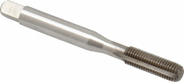 Main Thumb