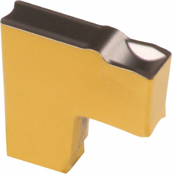 Main Thumb