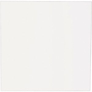 PROFESSIONAL PLASTICS Plastic Sheet: PETG, 1/16" Thick x 24" Wide x 2' Long SPETGCL.062X24.000X24.000