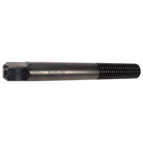 Main Thumb