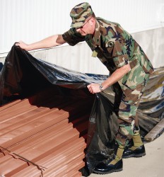ABILITYONE Plastic Sheet: Plastic, 100" Wide x 200' Long, 100 psi Tensile Strength 8135005840619