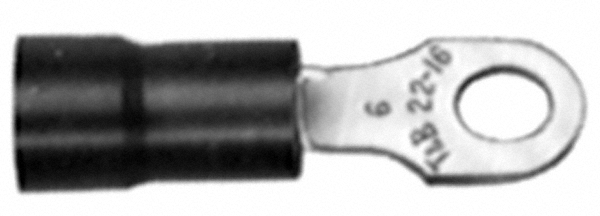 Main Thumb