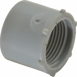 THOMAS & BETTS Conduit Female Adapter: For Rigid, Polyvinylchloride, 3/4" Trade Size E9842E