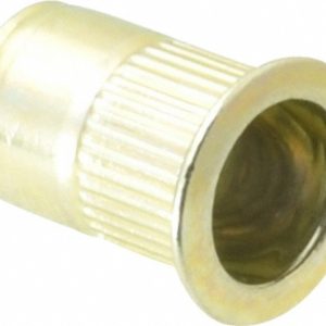 RIVETKING 1/4-20, 0.027 to 0.165" Grip, Steel Standard Rivet Nut 25C1IKFSY/P25