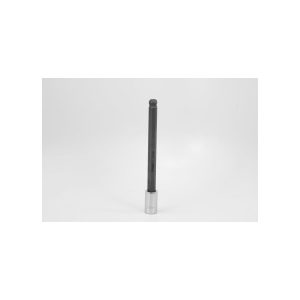 SK Hand Hex Bit Socket: 3/8" Drive, 10 mm Hex 45970